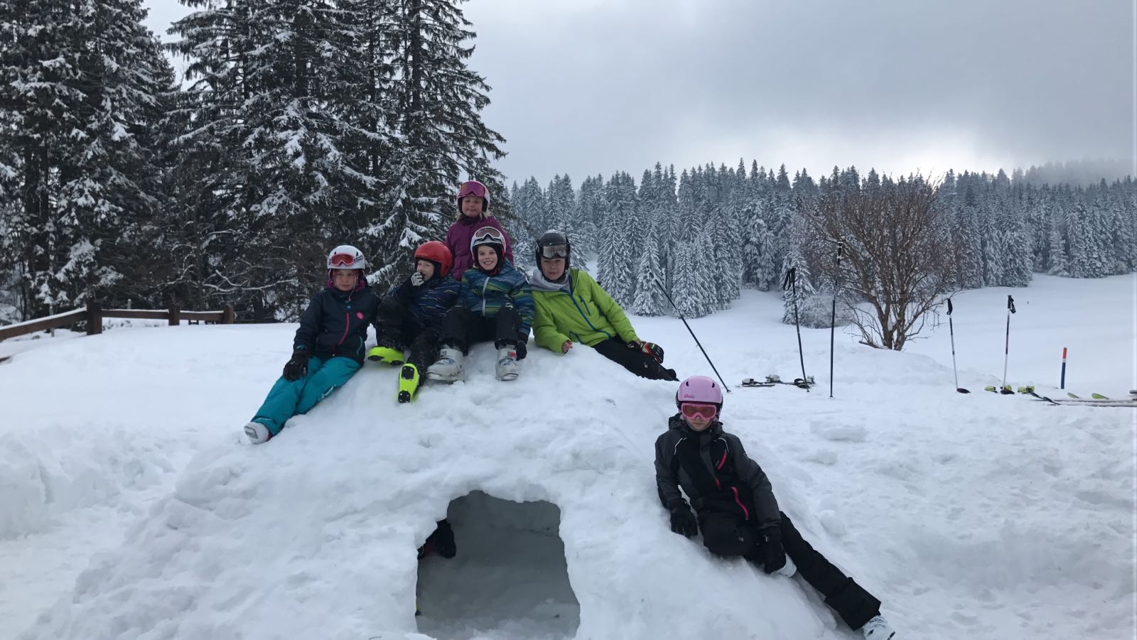 IMG-20180204-WA0001